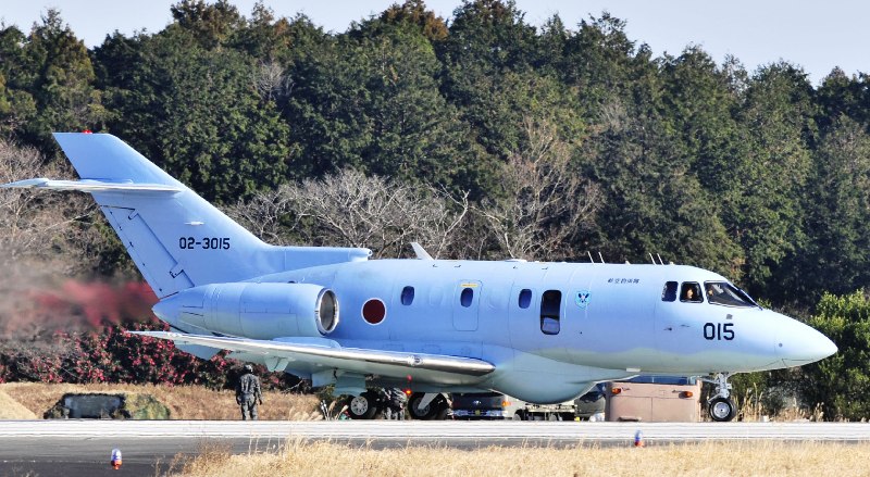 航空自衛隊第302飛行隊40周年記念塗装機